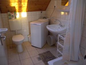 バラトンマーリアフュルドゥーにあるApartment Balatonmariafurdo 1のバスルーム(トイレ、洗面台付)