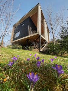 a house on top of a hill with purple flowers at Miko II in Slavske
