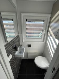 a small bathroom with a toilet and a sink at Floatinghouse Dicke Bärta in Klitten