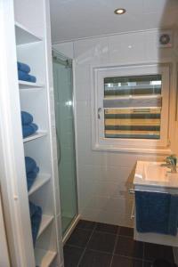 a bathroom with a shower and a sink at Floatinghouse Dolce Vita in Klitten