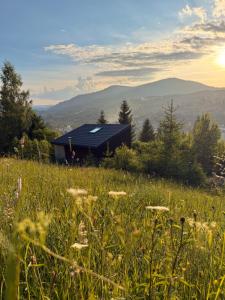 a house on a hill with a field of grass at Miko II in Slavske +53 photos