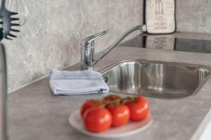 two tomatoes on a plate next to a sink at Floatinghouse Achat in Zehdenick +23 photos