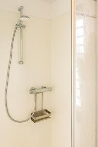 a shower in a bathroom with a metal shelf at Floatinghouse Topas in Zehdenick