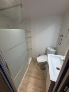 a bathroom with a toilet and a sink at Le central in Balaruc-les-Bains