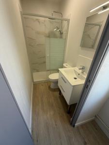 a bathroom with a toilet and a sink and a shower at Le central in Balaruc-les-Bains