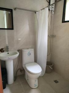 a bathroom with a toilet and a sink at Caliraya Music Camp in Cavinti