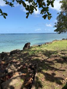 a view of the ocean from a hill with a tree at Studio Tulum - jacuzzi privé - face à la mer in Tartane +14 photos