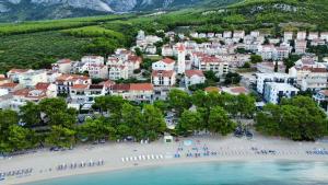 an aerial view of a beach in a town at Apartments Bojka in Promajna