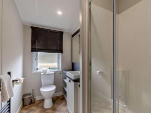 a bathroom with a toilet and a sink and a shower at 2 Bed in Newport oc-94717 in Nevern +14 photos