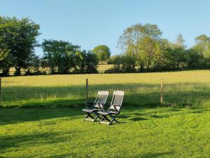 two chairs sitting in the middle of a field at 1 Bed in Llandysul oc-85415 in Rhyd Owen +14 photos