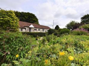 a garden with flowers in front of a house at 2 Bed in Tiverton oc-shayn in Huntsham