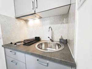 a kitchen counter with a stainless steel sink at Hana Accommodation in Sveti Stefan +90 photos