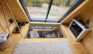 a dog in a cage in a tiny house at Yatak in Vatra Dornei