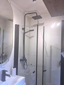 a shower with a glass door in a bathroom at Midcoast Studio TheBlue in Nortorf