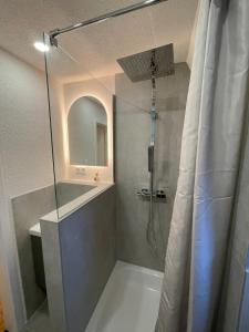 a bathroom with a shower with a glass door at Giebelglück - 3 Zimmer, direkt an der UniKlinik, 2 Schlafzimmer, 4 Gäste, WLAN in Würzburg +39 photos