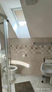 a bathroom with a toilet and a sink and a skylight at Rév-Panzió in Abádszalók +34 photos