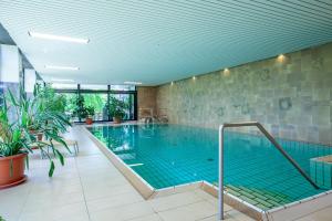 สระว่ายน้ำที่อยู่ใกล้ ๆ หรือใน Hotel Seelust