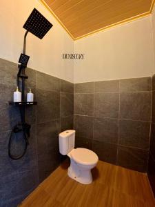 a bathroom with a toilet and a light on the wall at Denis cozy homestay in Senaru +104 photos