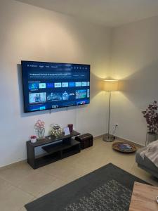 a living room with a large flat screen tv on the wall at The root loft Trikala in Tríkala