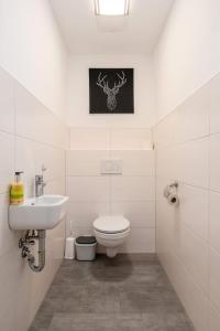 a white bathroom with a toilet and a sink at Appartement Franz Josef - by myNests in Aich +15 photos