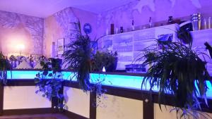 eine Bar mit Pflanzen auf einer Theke in der Unterkunft Hotel Alexander in Sankt Ingbert