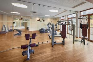 a gym with treadmills and cardio equipment in a room at Das Alpenhaus Kaprun inkl Zell am See-Kaprun Sommerkarte in Kaprun