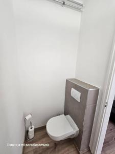 a bathroom with a toilet with a toilet paper dispenser at vendégház A Mi Paradicsomunk in Palotabozsok