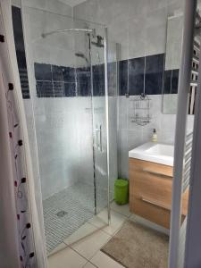 a bathroom with a glass shower and a sink at Chez Titelle in Saint-Laurent-de-la-Salanque