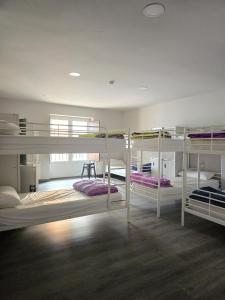 a room with four bunk beds in it at Hostel Catedral Burgos in Burgos