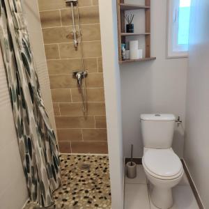 a bathroom with a toilet and a shower at Studio Augustine, studio pour une pause en Baie du Mont Saint Michel in Roz-sur-Couesnon +11 photos