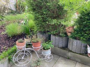 a white cart with potted plants on it in a garden at Geräumige Wohnung bei Basel in Grenzach-Wyhlen