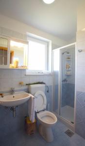 Kylpyhuone majoituspaikassa Apartment Liznjan 1