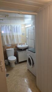 a bathroom with a toilet a sink and a washing machine at Studio atypique avec Piscine à partager en option in La Ferté-Gaucher +20 photos