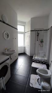 a bathroom with a shower and a toilet and a sink at Apartments Angels o k b S2 in Altenburg +25 photos
