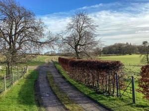 a dirt road in a field with a hedge at Stepping Gate Cottage in Scalby