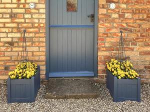 two blue containers with yellow flowers next to a door at Stepping Gate Cottage in Scalby