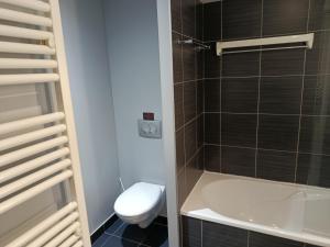 a bathroom with a toilet and a shower at Studio au-dessus de l'Orne in Caen +4 photos