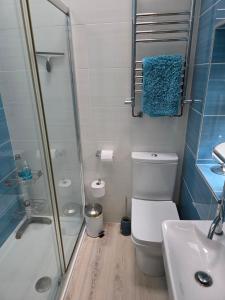 a bathroom with a shower and a toilet and a sink at Orebank Cottage in Millom