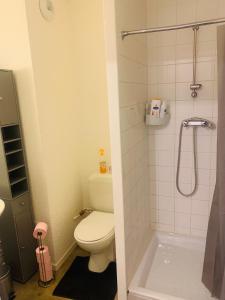 a small bathroom with a toilet and a shower at Ancrage home in Montargis +5 photos
