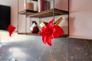 a red flower is hanging from a kitchen counter at Expérience des sens in Grézieu-la-Varenne
