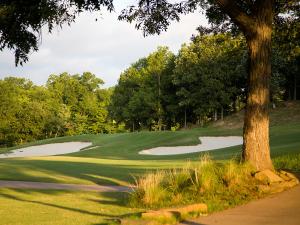 um campo de golfe com uma árvore em primeiro plano em Hard Rock Hotel & Casino Tulsa em Tulsa