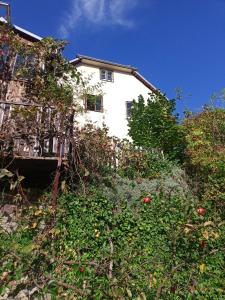 a white house with trees and bushes in front of it at Apartmán U Muzikanta in Český Krumlov