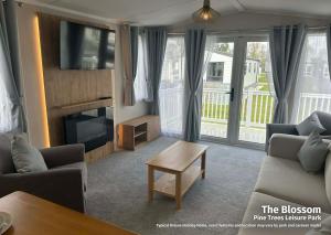 a living room with a couch and a tv at Pine Trees Leisure Park in Skegness