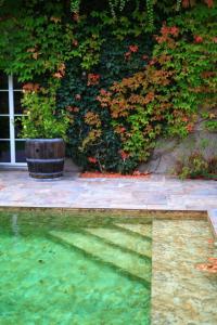 a pool of water in front of a plant at Bégous in Valderiès