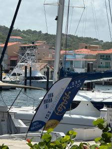 a sail on a boat in a marina with other boats at Mediterranean Caribbean View Village in Buena Vista +2 photos