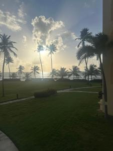 a view of a lawn with palm trees and the ocean at Mediterranean Caribbean View Village in Buena Vista