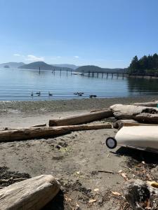 eine Gruppe von Baumstämmen an einem Strand mit Enten im Wasser in der Unterkunft Mayne Cottage in Mayne Island