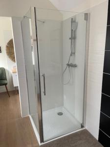 a shower with a glass door in a bathroom at La maison du bois brulée 5 in Villaines-les-Rochers +4 photos