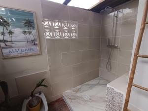 a bathroom with a shower and a picture on the wall at Ma chambre Javanaise in Port-Louis