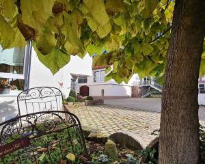 a bench sitting under a tree next to a tree at Landhotel Kachelofa in Vaihingen an der Enz